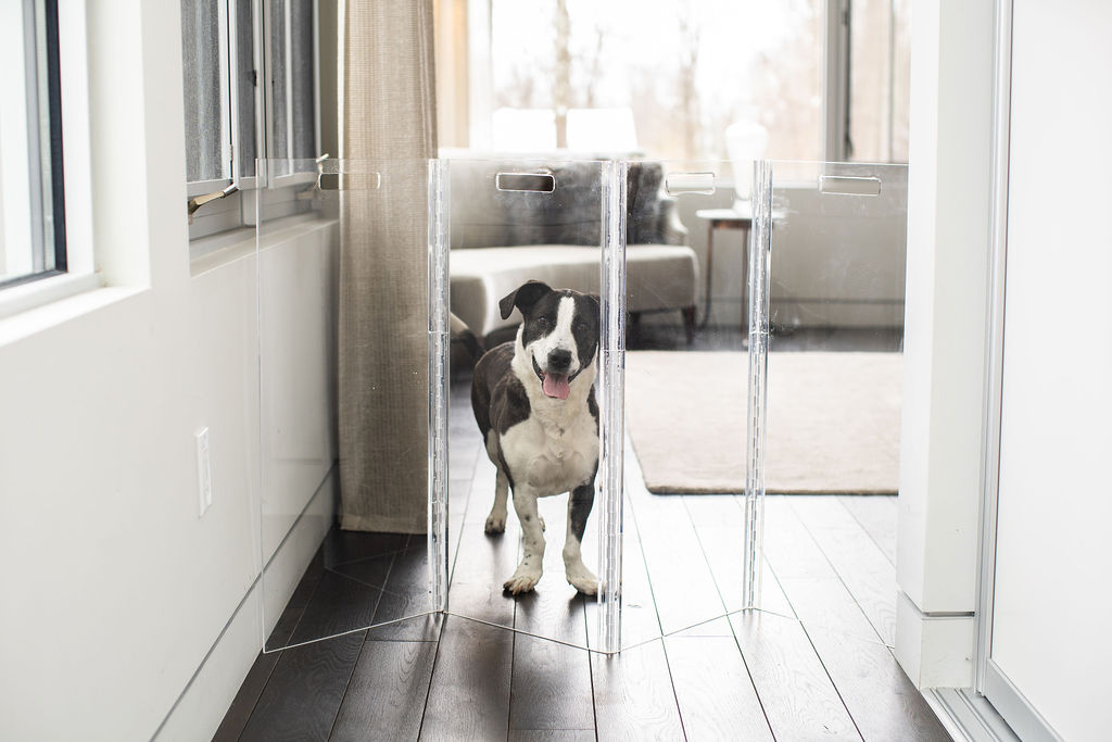 clear zig zag gate for pets